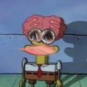 Meet your Posher, Caitlin